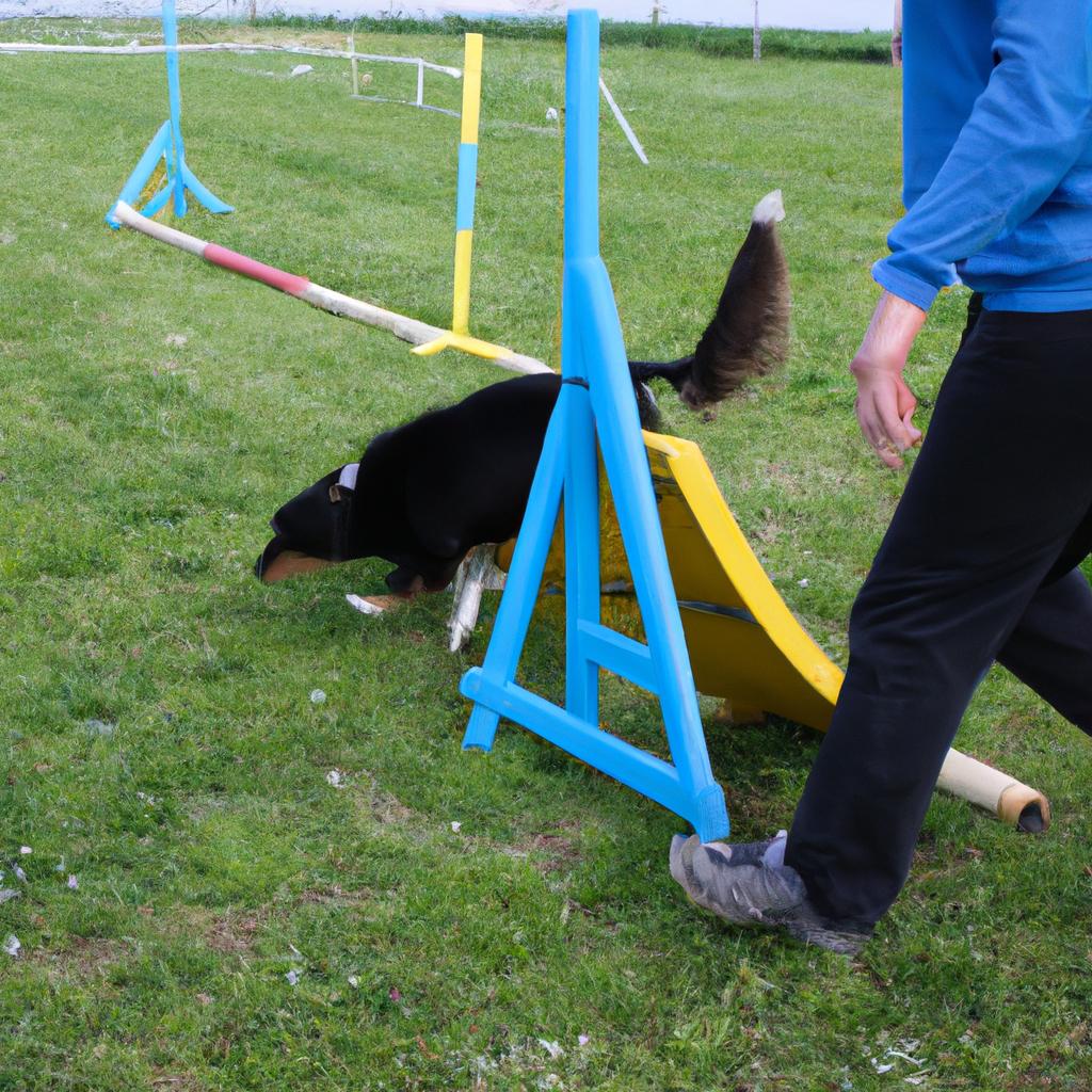 Person training dog agility exercise