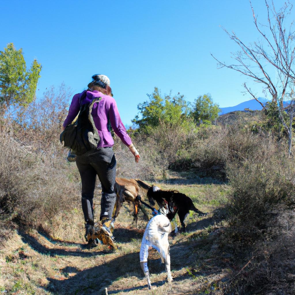 Person hiking with dogs outdoors